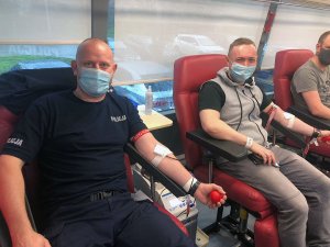 dawcy oddający krew